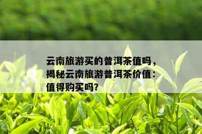 云南旅游买的普洱茶值吗，揭秘云南旅游普洱茶价值：值得购买吗？