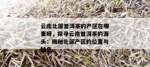 云南北部普洱茶的产区在哪里呀，探寻云南普洱茶的源头：揭秘北部产区的位置与特色