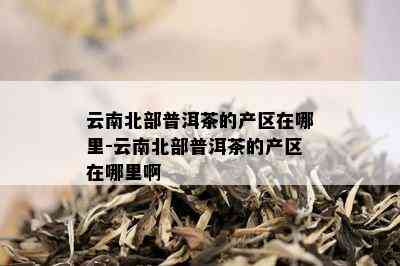 云南北部普洱茶的产区在哪里-云南北部普洱茶的产区在哪里啊