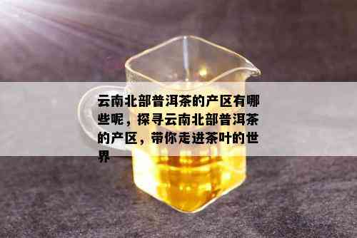 云南北部普洱茶的产区有哪些呢，探寻云南北部普洱茶的产区，带你走进茶叶的世界