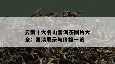 云南十大名山普洱茶图片大全：高清展示与价格一览