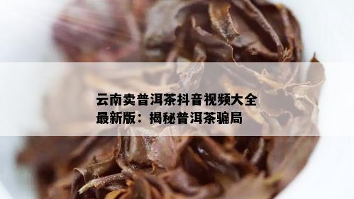 云南卖普洱茶抖音视频大全最新版：揭秘普洱茶骗局