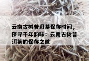 云南古树普洱茶保存时间，探寻千年韵味：云南古树普洱茶的保存之道