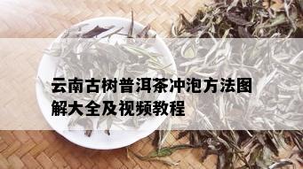 云南古树普洱茶冲泡方法图解大全及视频教程