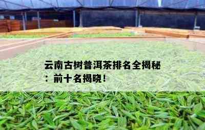 云南古树普洱茶排名全揭秘：前十名揭晓！