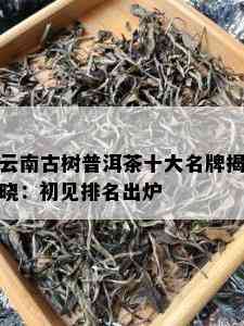 云南古树普洱茶十大名牌揭晓：初见排名出炉