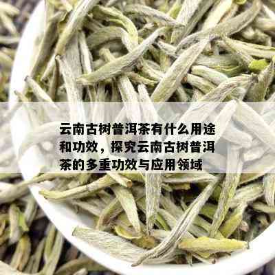 云南古树普洱茶有什么用途和功效，探究云南古树普洱茶的多重功效与应用领域