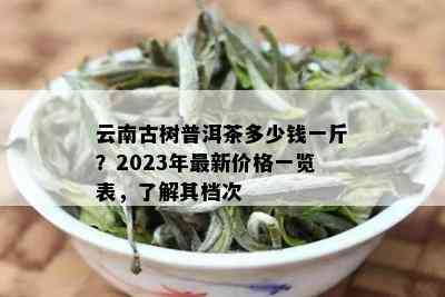 云南古树普洱茶多少钱一斤？2023年最新价格一览表，了解其档次