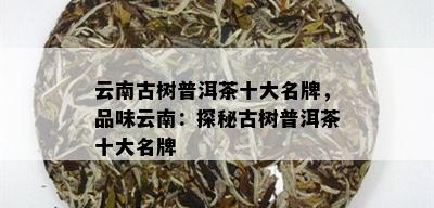 云南古树普洱茶十大名牌，品味云南：探秘古树普洱茶十大名牌