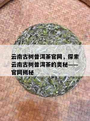 云南古树普洱茶官网，探索云南古树普洱茶的奥秘——官网揭秘