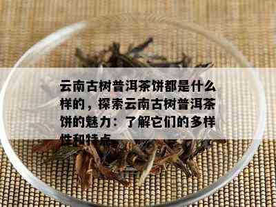 云南古树普洱茶饼都是什么样的，探索云南古树普洱茶饼的魅力：了解它们的多样性和特点