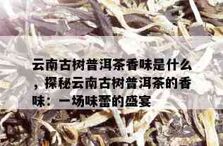 云南古树普洱茶香味是什么，探秘云南古树普洱茶的香味：一场味蕾的盛宴