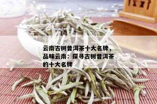 云南古树普洱茶十大名牌，品味云南：探寻古树普洱茶的十大名牌