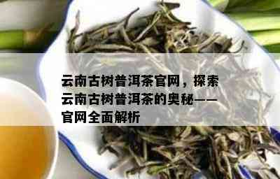 云南古树普洱茶官网，探索云南古树普洱茶的奥秘——官网全面解析