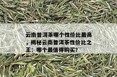 云南普洱茶哪个性价比更高，揭秘云南普洱茶性价比之王：哪个最值得购买？