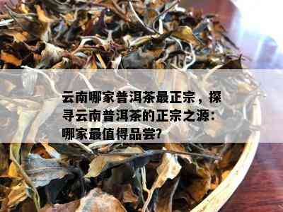 云南哪家普洱茶最正宗，探寻云南普洱茶的正宗之源：哪家最值得品尝？