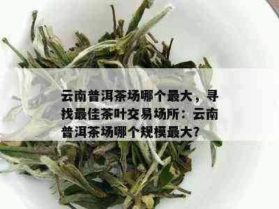 云南普洱茶场哪个更大，寻找更佳茶叶交易场所：云南普洱茶场哪个规模更大？