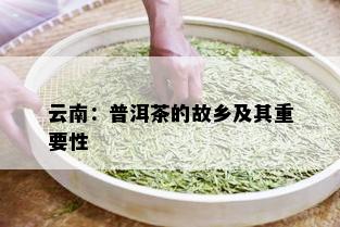 云南：普洱茶的故乡及其重要性