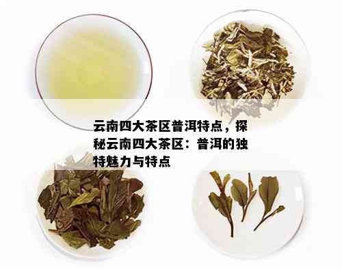 云南四大茶区普洱特点，探秘云南四大茶区：普洱的独特魅力与特点