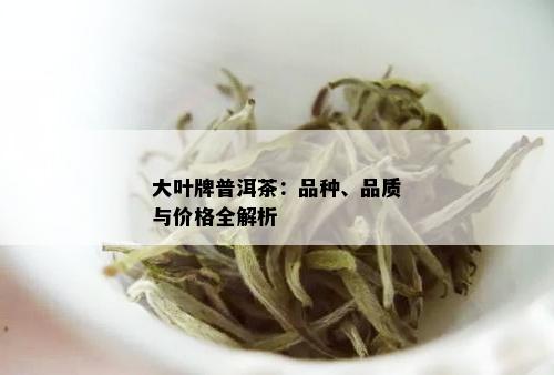 大叶牌普洱茶：品种、品质与价格全解析