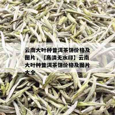 云南大叶种普洱茶饼价格及图片，【高清无水印】云南大叶种普洱茶饼价格及图片大全