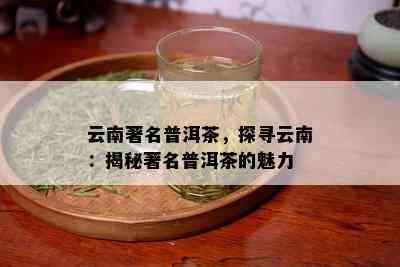 云南著名普洱茶，探寻云南：揭秘著名普洱茶的魅力