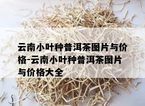 云南小叶种普洱茶图片与价格-云南小叶种普洱茶图片与价格大全