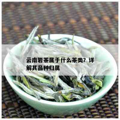 云南岩茶属于什么茶类？详解其品种归属