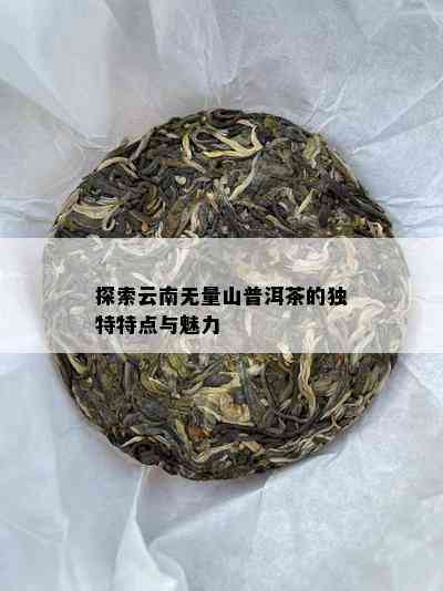 探索云南无量山普洱茶的独特特点与魅力