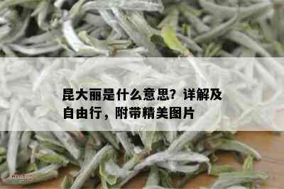 昆大丽是什么意思？详解及自由行，附带精美图片