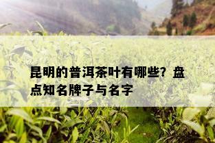 昆明的普洱茶叶有哪些？盘点知名牌子与名字