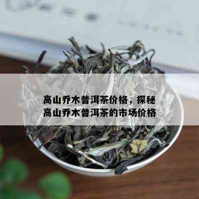 高山乔木普洱茶价格，探秘高山乔木普洱茶的市场价格