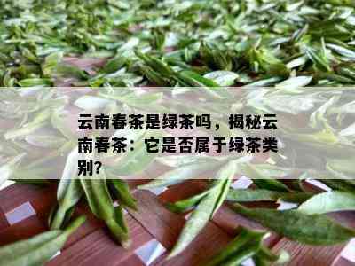 云南春茶是绿茶吗，揭秘云南春茶：它是否属于绿茶类别？