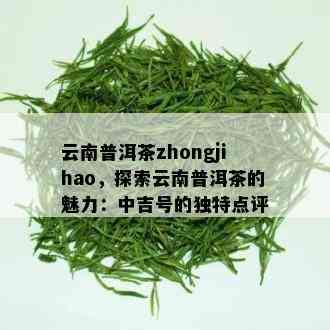 云南普洱茶zhongjihao，探索云南普洱茶的魅力：中吉号的独特点评