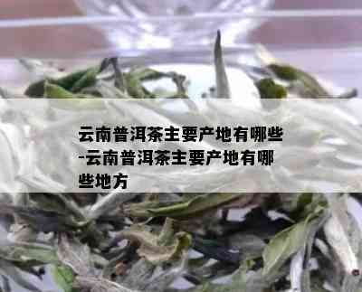 云南普洱茶主要产地有哪些-云南普洱茶主要产地有哪些地方