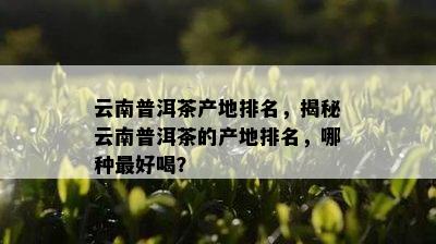 云南普洱茶产地排名，揭秘云南普洱茶的产地排名，哪种更好喝？