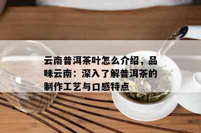 云南普洱茶叶怎么介绍，品味云南：深入了解普洱茶的制作工艺与口感特点