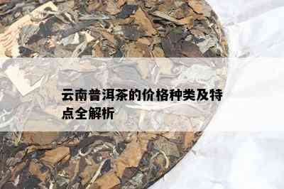 云南普洱茶的价格种类及特点全解析