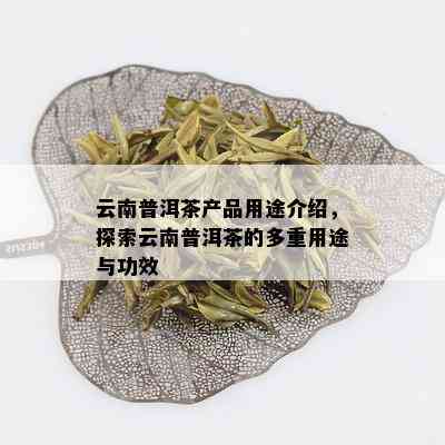 云南普洱茶产品用途介绍，探索云南普洱茶的多重用途与功效