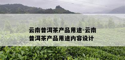 云南普洱茶产品用途-云南普洱茶产品用途内容设计