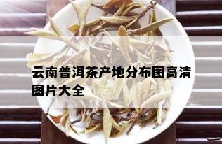 云南普洱茶产地分布图高清图片大全