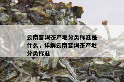 云南普洱茶产地分类标准是什么，详解云南普洱茶产地分类标准