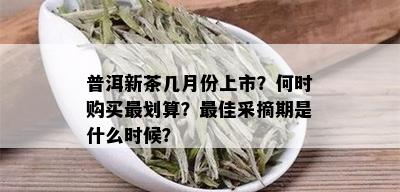 普洱新茶几月份上市？何时购买最划算？更佳采摘期是什么时候？