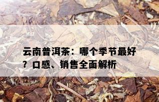 云南普洱茶：哪个季节更好？口感、销售全面解析