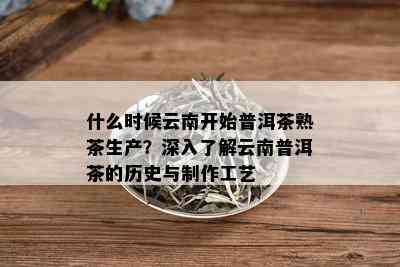 什么时候云南开始普洱茶熟茶生产？深入了解云南普洱茶的历史与制作工艺