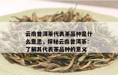 云南普洱茶代表茶品种是什么意思，探秘云南普洱茶：了解其代表茶品种的意义