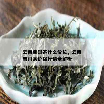 云南普洱茶什么价位，云南普洱茶价格行情全解析