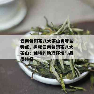 云南普洱茶八大茶山有哪些特点，探秘云南普洱茶八大茶山：独特的地理环境与品质特征