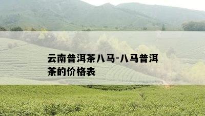 云南普洱茶八马-八马普洱茶的价格表