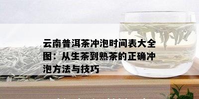 云南普洱茶冲泡时间表大全图：从生茶到熟茶的正确冲泡方法与技巧